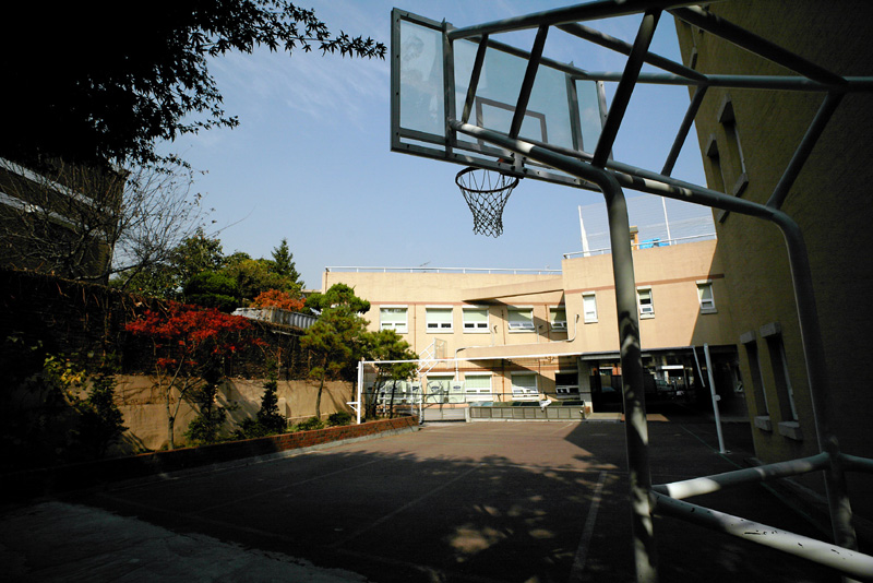 학교 사진